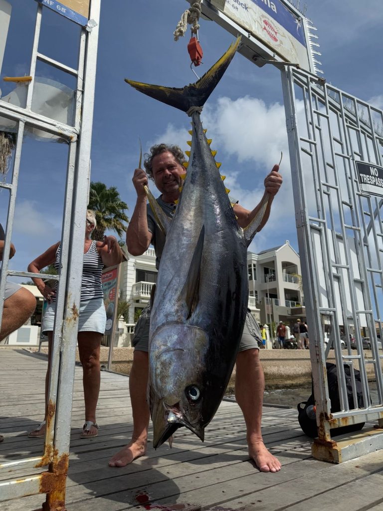 Visser tilt een grote geelvintonijn aan de staart op de steiger met de waterfrontgebouwen van Kralendijk op de achtergrond, Bonaire.