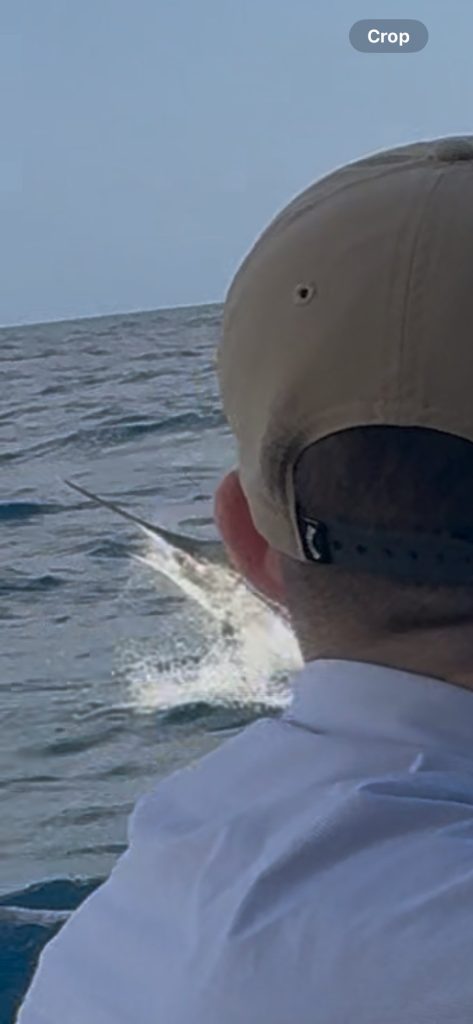 Een visser met een beige pet kijkt naar een billfish die uit het diepblauwe water springt en plonst vlak achter de boot bij Bonaire.