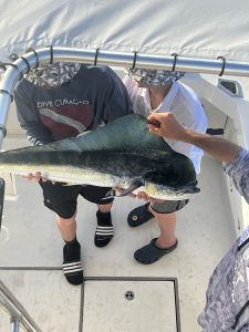 Top-down view of an angler holding a vivid green and gold mahi-mahi dorado on the deck of a fishing boat off Bonaire