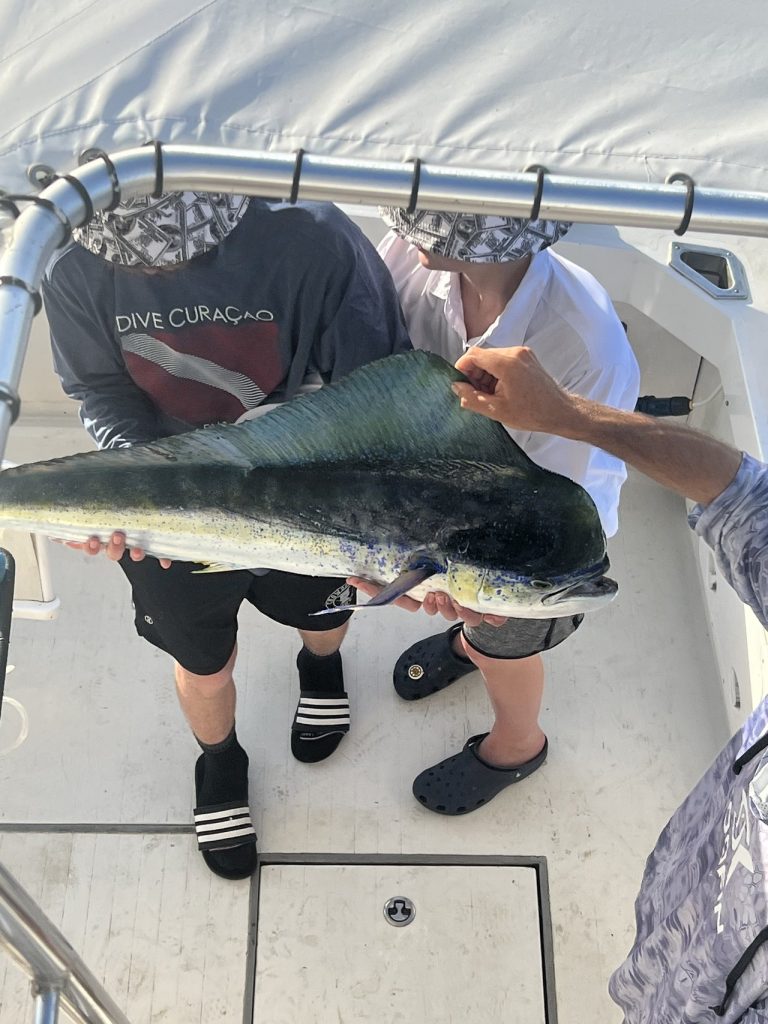 Top-down view of an angler holding a vivid green and gold mahi-mahi dorado on the deck of a fishing boat off Bonaire