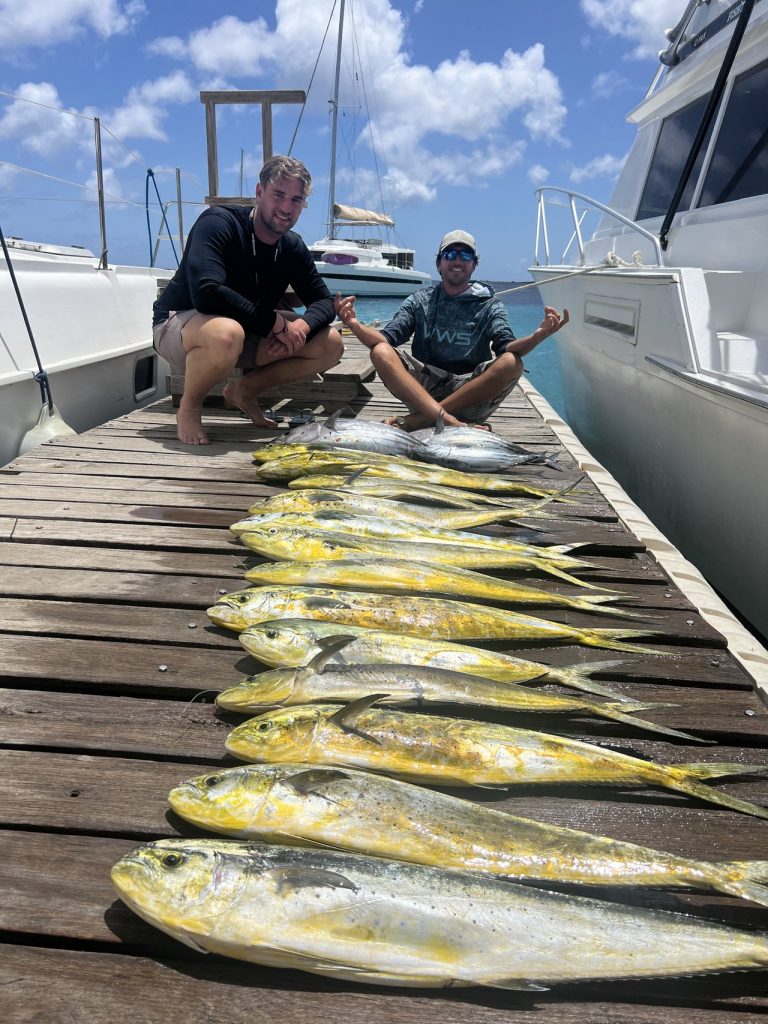 Twee vissers gehurkt achter een lange rij goudkleurige mahi-mahi dorado uitgelegd op de steiger na een Fishtales-charter op Bonaire.