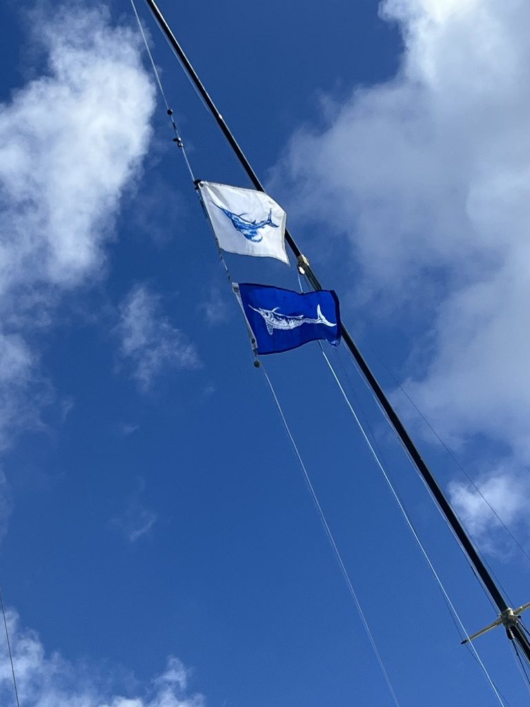 Billfish-releasevlaggen wapperen aan de outrigger tegen een blauwe lucht, teken dat marlijn is gevangen en vrijgelaten tijdens een vischarter op Bonaire.