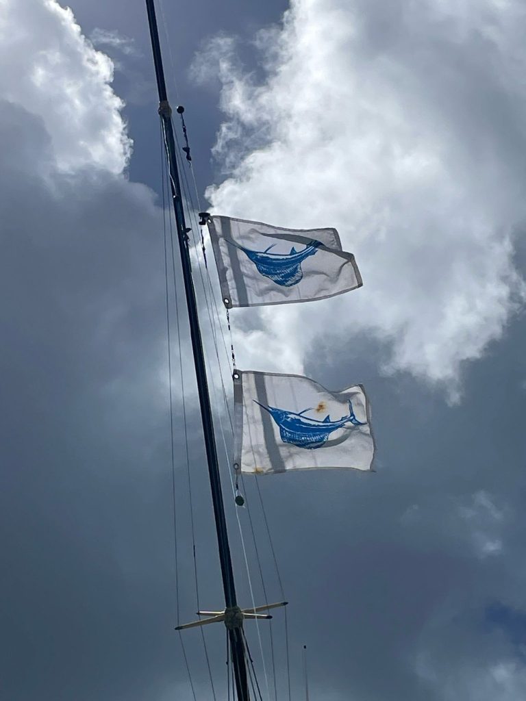 Twee blauwe release-vlaggen voor billfish wapperen aan de outrigger van een sportvisboot tegen een heldere bewolkte hemel boven Bonaire.